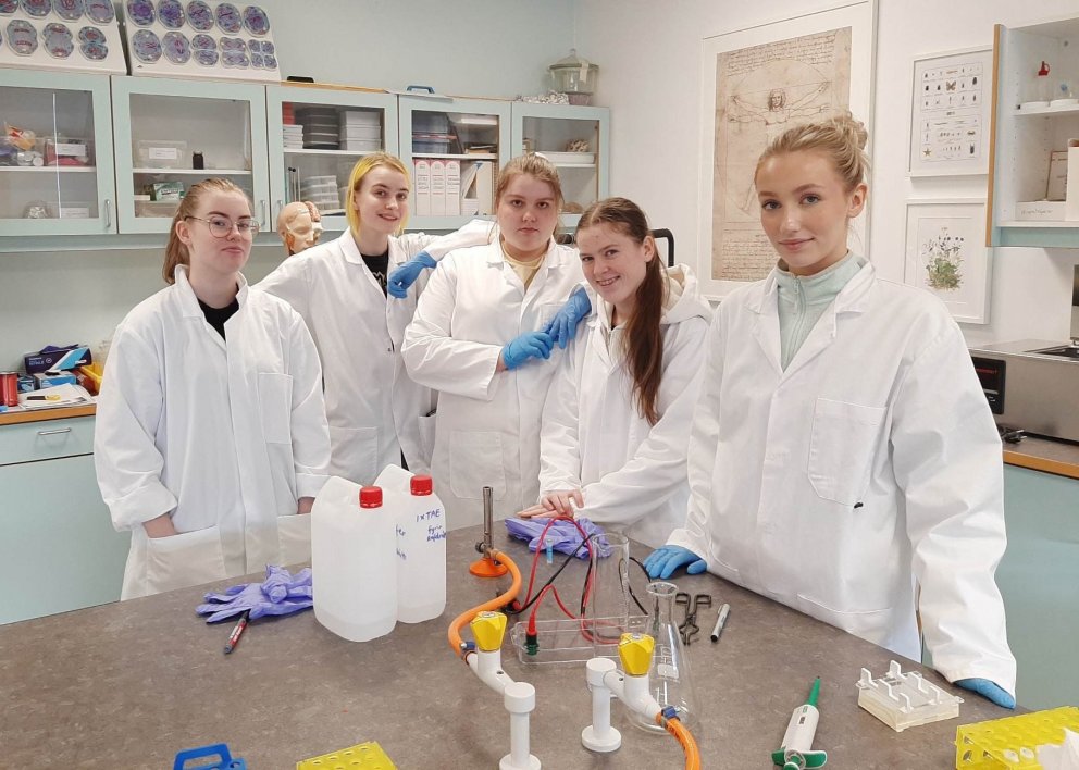 Rannsókn á litarefnum í matvælum