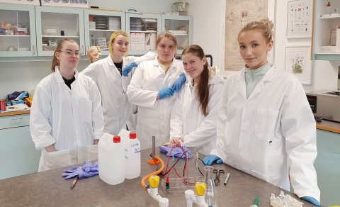 Rannsókn á litarefnum í matvælum