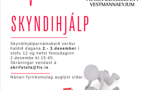 Skyndihjálparnámskeið 2. og 3. desember 2022