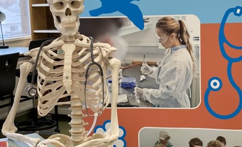 Sjúkraliðanám í FÍV